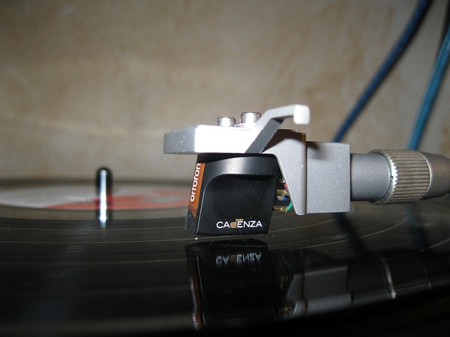 Why Phonograph Discs Still Captivate Music Lovers